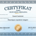 Powiększ obraz: certificate 13