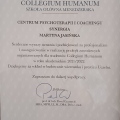 Powiększ obraz: certificate 5