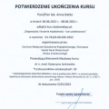 Powiększ obraz: certificate 7