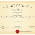 Powiększ obraz: certificate 20