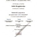 Powiększ obraz: certificate 10
