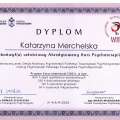 Powiększ obraz: certificate 11