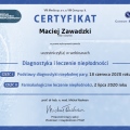 Powiększ obraz: certificate 16