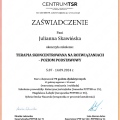Powiększ obraz: certificate 1