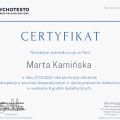 Powiększ obraz: certificate 3