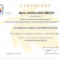 Powiększ obraz: certificate 64