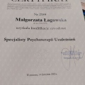 Powiększ obraz: certificate 1