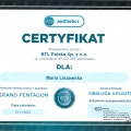 Powiększ obraz: certificate 33