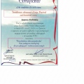 Powiększ obraz: certificate 11