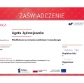 Powiększ obraz: certificate 6