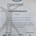 Powiększ obraz: certificate 10