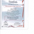 Powiększ obraz: certificate 7