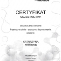 Powiększ obraz: certificate 1