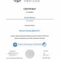 Powiększ obraz: certificate 6