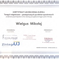 Powiększ obraz: certificate 5