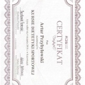 Powiększ obraz: certificate 11
