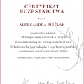 Powiększ obraz: certificate 12