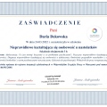 Powiększ obraz: certificate 4
