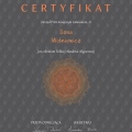 Powiększ obraz: certificate 3