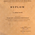 Powiększ obraz: certificate 1
