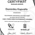 Powiększ obraz: certificate 4