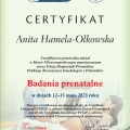 Powiększ obraz: certificate 57