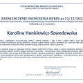 Powiększ obraz: certificate 41