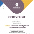 Powiększ obraz: certificate 29