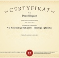 Powiększ obraz: certificate 12