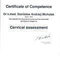 Powiększ obraz: certificate 5