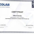 Powiększ obraz: certificate 1