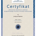 Powiększ obraz: certificate 1