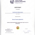 Powiększ obraz: certificate 3