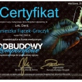 Powiększ obraz: certificate 3