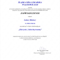 Powiększ obraz: certificate 35