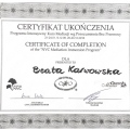 Powiększ obraz: certificate 4