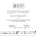 Powiększ obraz: certificate 8
