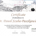 Powiększ obraz: certificate 10