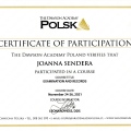 Powiększ obraz: certificate 2