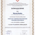 Powiększ obraz: certificate 11