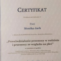 Powiększ obraz: certificate 1