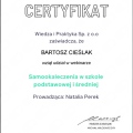 Powiększ obraz: certificate 4
