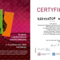 Powiększ obraz: certificate 12