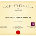 Powiększ obraz: certificate 1