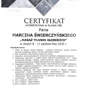 Powiększ obraz: certificate 7