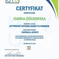 Powiększ obraz: certificate 7