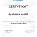 Powiększ obraz: certificate 12