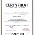 Powiększ obraz: certificate 11