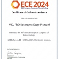 Powiększ obraz: certificate 1
