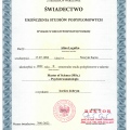 Powiększ obraz: certificate 42